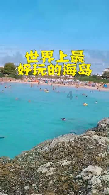寻找萌小老虎